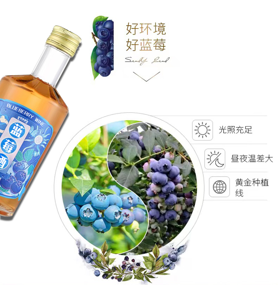 藍莓酒詳情_02.jpg